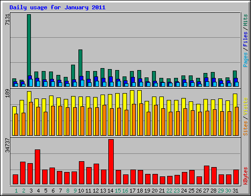 Daily usage for January 2011