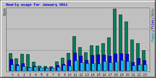 Hourly usage for January 2011